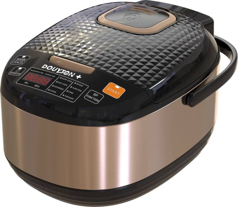 پلوپز 1000 وات دایتون مدل DP-741